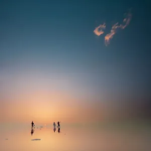 Tiny Tiny