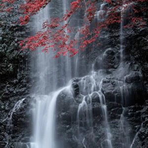 Minoo waterfall in colorful autumn season with red maple leaf, Minoo park, Osaka, Japan