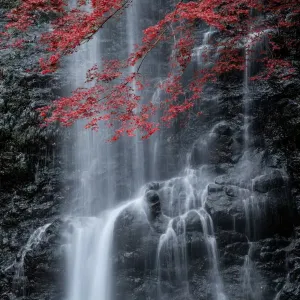 Autumn Minoo Waterfall Print