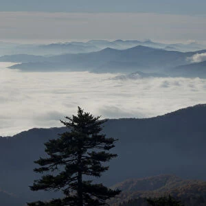 Mist in valley of Great Smoky Mountains National Park from Clingmans Dome, Tennessee, USA