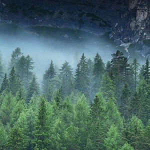 Misty alpine forest, Dolomites