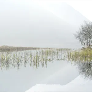 Misty lake