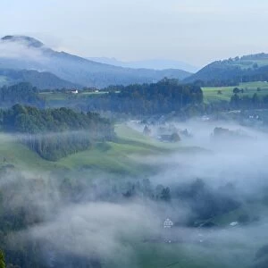 Misty landscape in autumn, Hirzel area, Zurich, Switzerland, Europe