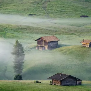 Misty landscape view in Alpe di Siusi or Seiser Alm at beautiful sunrise