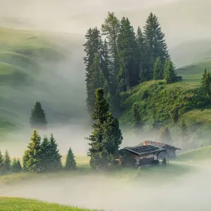 Misty landscape view in Alpe di Siusi or Seiser Alm at beautiful sunrise