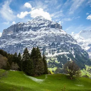 Mittelhorn Mittelhorn