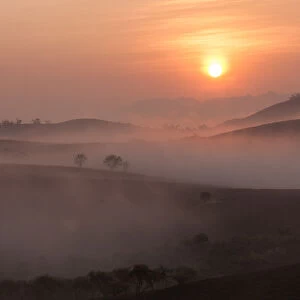 Moc Chau Plateau on Sunrise - Vietnam - Travel Destination