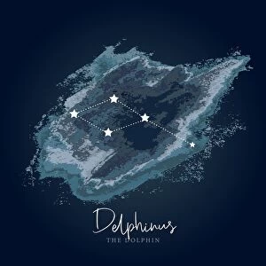 Modern Night Sky Constellation - Delphinus