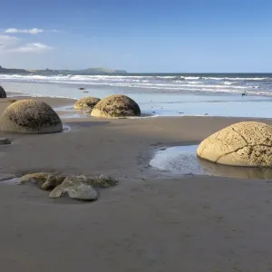 Moeraki Boulders on the beach in the evening light, Moeraki Beach, Hampden, Otago Region, New Zealand Moeraki Boulders on the beach in the evening light, Moeraki Beach, Hampden, Otago Region, New Zealand