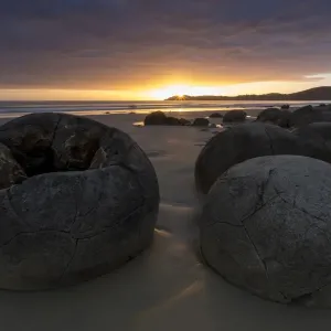 Moeraki Boulders on the beach at sunrise, Moeraki Beach, Hampden, Otago Region, New Zealand Moeraki Boulders on the beach at sunrise, Moeraki Beach, Hampden, Otago Region, New Zealand
