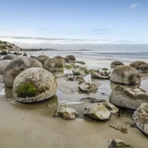 Die Moeraki-Bälge sind eine geologische Merkmale runde Felskugeln einige Bruchstücke liegen auf dem Strand in Ruinen. Die Küste von Otago-Moeraki ist Teil der Südinsel Neuseeland, Ozeanien Die Moeraki-Bälge sind eine geologische Merkmale runde Felskugeln einige Bruchstücke liegen auf dem Strand in Ruinen. Die Küste von Otago-Moeraki ist Teil der Südinsel Neuseeland, Ozeanien