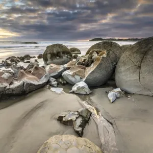 Moeraki Boulders, geological feature, round rock balls, some fragments lying broken in ruins on the beach, Coastal Otago, Moeraki, South Island, New Zealand, Oceania Moeraki Boulders, geological feature, round rock balls, some fragments lying broken in ruins on the beach, Coastal Otago, Moeraki, South Island, New Zealand, Oceania