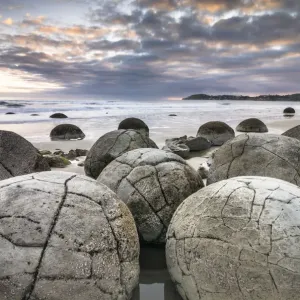 Moeraki Boulders, geological feature, round rock balls, Coastal Otago, Moeraki, South Island, New Zealand, Oceania Moeraki Boulders, geological feature, round rock balls, Coastal Otago, Moeraki, South Island, New Zealand, Oceania