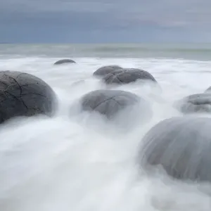 Moeraki Boulders, geological feature, round rock balls, washed by the waves of the surf at high tide, Coastal Otago, Moeraki, South Island, New Zealand, Oceania Moeraki Boulders, geological feature, round rock balls, washed by the waves of the surf at high tide, Coastal Otago, Moeraki, South Island, New Zealand, Oceania