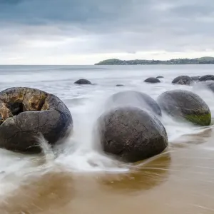 Moeraki Boulders, geological feature, round rock balls, washed by the waves of the surf at high tide, Coastal Otago, Moeraki, South Island, New Zealand, Oceania Moeraki Boulders, geological feature, round rock balls, washed by the waves of the surf at high tide, Coastal Otago, Moeraki, South Island, New Zealand, Oceania