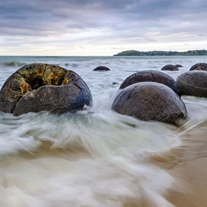 Moeraki Boulders, spherical rocks, East Coast, Otago, South Island, New Zealand, Oceania