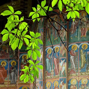 Moldovita Monastery, Bukovina, Romania
