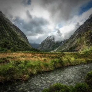 monkey creek | fiordland, new zealand