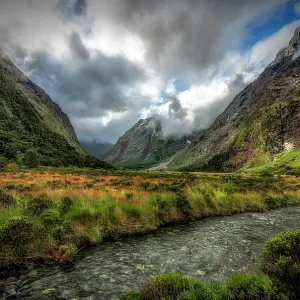 monkey creek revisited