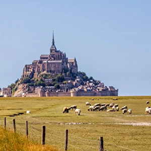 Mont Saint-Michel and meadow during the day