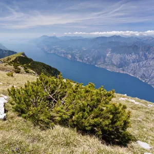 On Monte Altissimo above Nago, overlooking Lake Garda, with Monte Baldo at the rear, Trentino, Italy, Europe