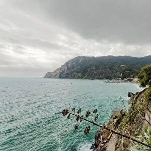 Monterosso al Mare coastline, Cinque Terre, Italy