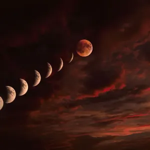 Blood Moon Print Blood Moon Print