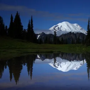 Moonlight Reflection