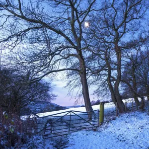 Moonlight on snow covered fields at Cwmyoy near Abergavenny in the Black Mountains Moonlight on snow covered fields at Cwmyoy near Abergavenny in the Black Mountains