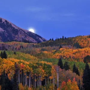 Moonset at Kebler Pass Moonset at Kebler Pass