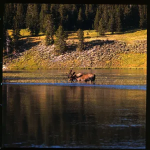 Images Dated 1971 May: 26 May 1971