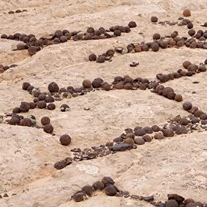 Moqui Marbles, Utah, USA, America