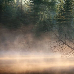 Morning fog on lake