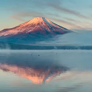 Morning Fuji