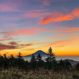 Morning Fuji in the brightly colored sky Morning Fuji in the brightly colored sky