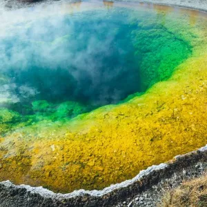 Morning Glory Prismatic Hot-Spring Print, Yellowstone NP Morning Glory Prismatic Hot-Spring Print, Yellowstone NP