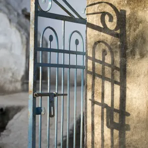 Morning light on a gate, Udaipur, Rajasthan, India