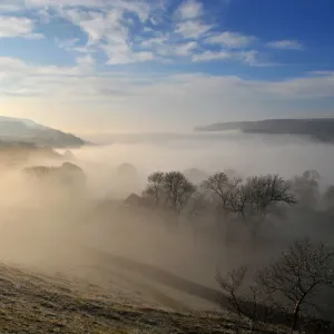 Morning mist