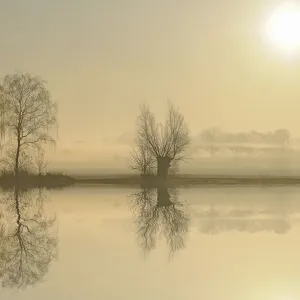 Morning mood at a lake at sunrise, near Tangstedt, Schleswig-Holstein, Germany, Europe Morning mood at a lake at sunrise, near Tangstedt, Schleswig-Holstein, Germany, Europe