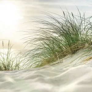 Morning sun over sandy dunes and sea on the island Sylt Morning sun over sandy dunes and sea on the island Sylt