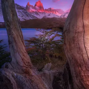 Morning view of Mount fitzroy from Lake Capri Morning view of Mount fitzroy from Lake Capri