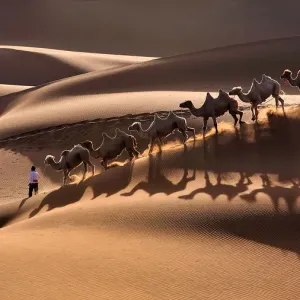 Kumtag Desert Morning Walk Print Kumtag Desert Morning Walk Print
