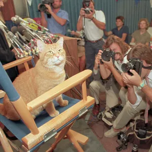 Images Dated 1987 August: 18 Aug 1987
