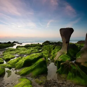 Moss cover rock in a forbidden beach in Vietnam Moss cover rock in a forbidden beach in Vietnam