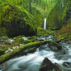 Mossy Grotto Falls Print Mossy Grotto Falls Print
