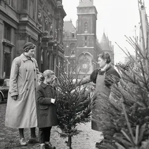 Mother and Daughter Shopping for Christmas Tree Print Mother and Daughter Shopping for Christmas Tree Print