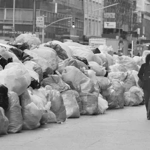 Images Dated 1981 December: 10 Dec 1981