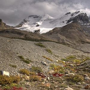 Mount Athabasca, Columbia Icefield, Jasper National Park, Alberta, Canada