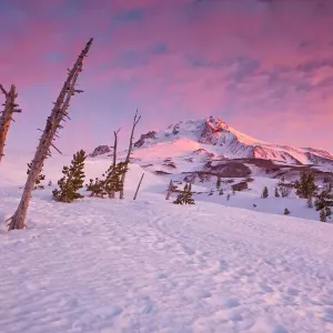 Mount Hood Mount Hood