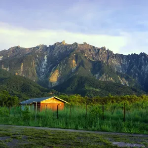 Mount Kinabalu Print from Kundasang Village at Sunrise Mount Kinabalu Print from Kundasang Village at Sunrise